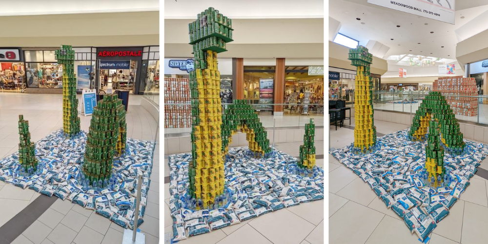 Canned' canvases on display at NorthPark Center for annual CANstruction  competition